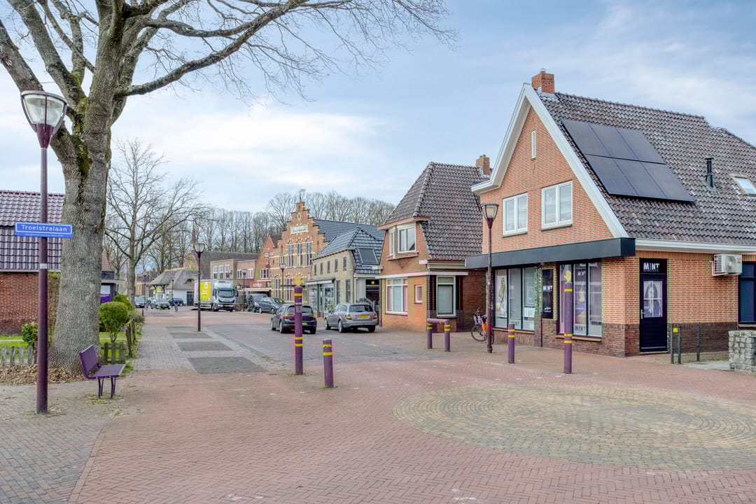 Foto 53 van Troelstralaan 11