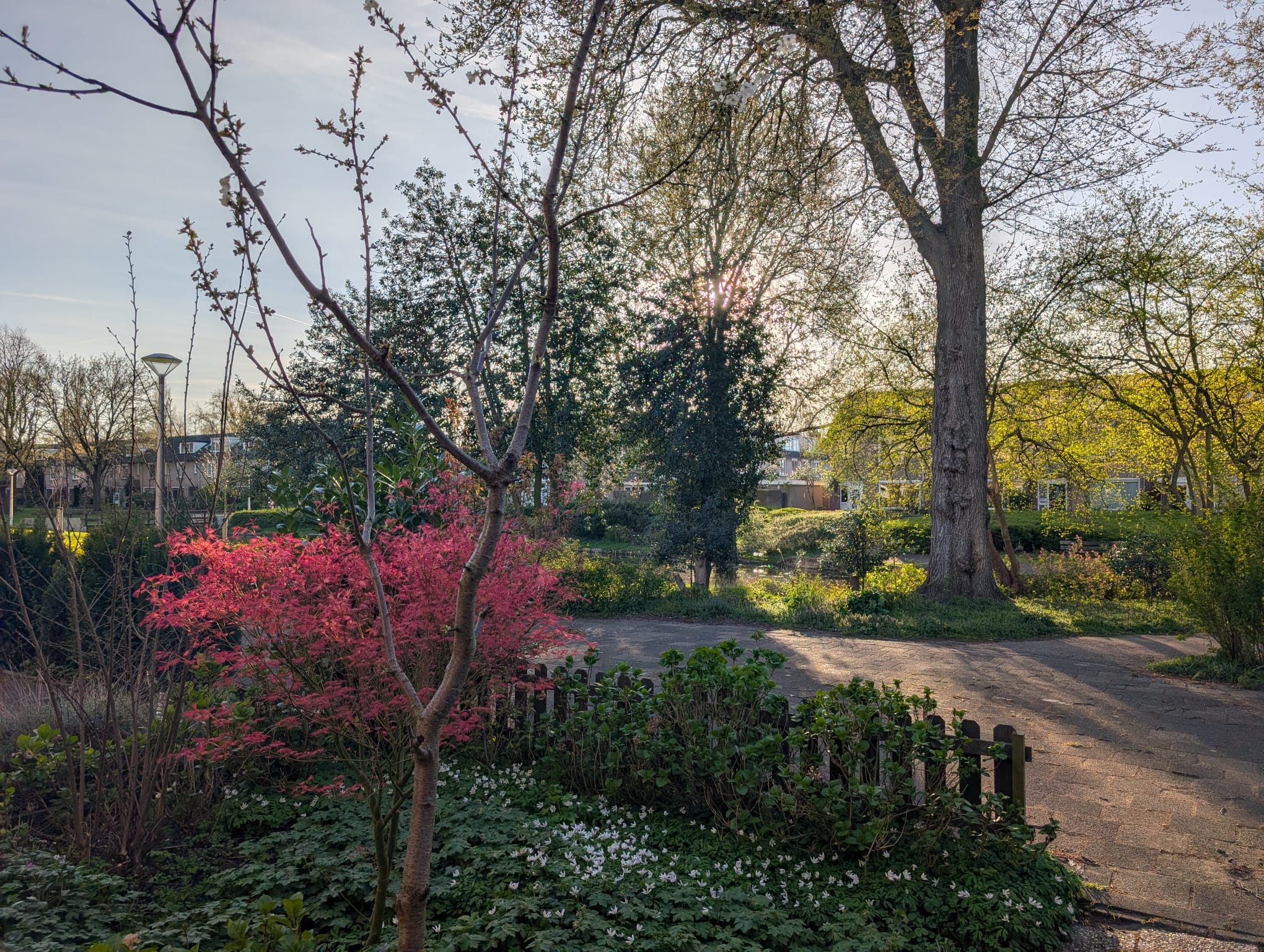 Foto 45 van Lohengrinstraat 64