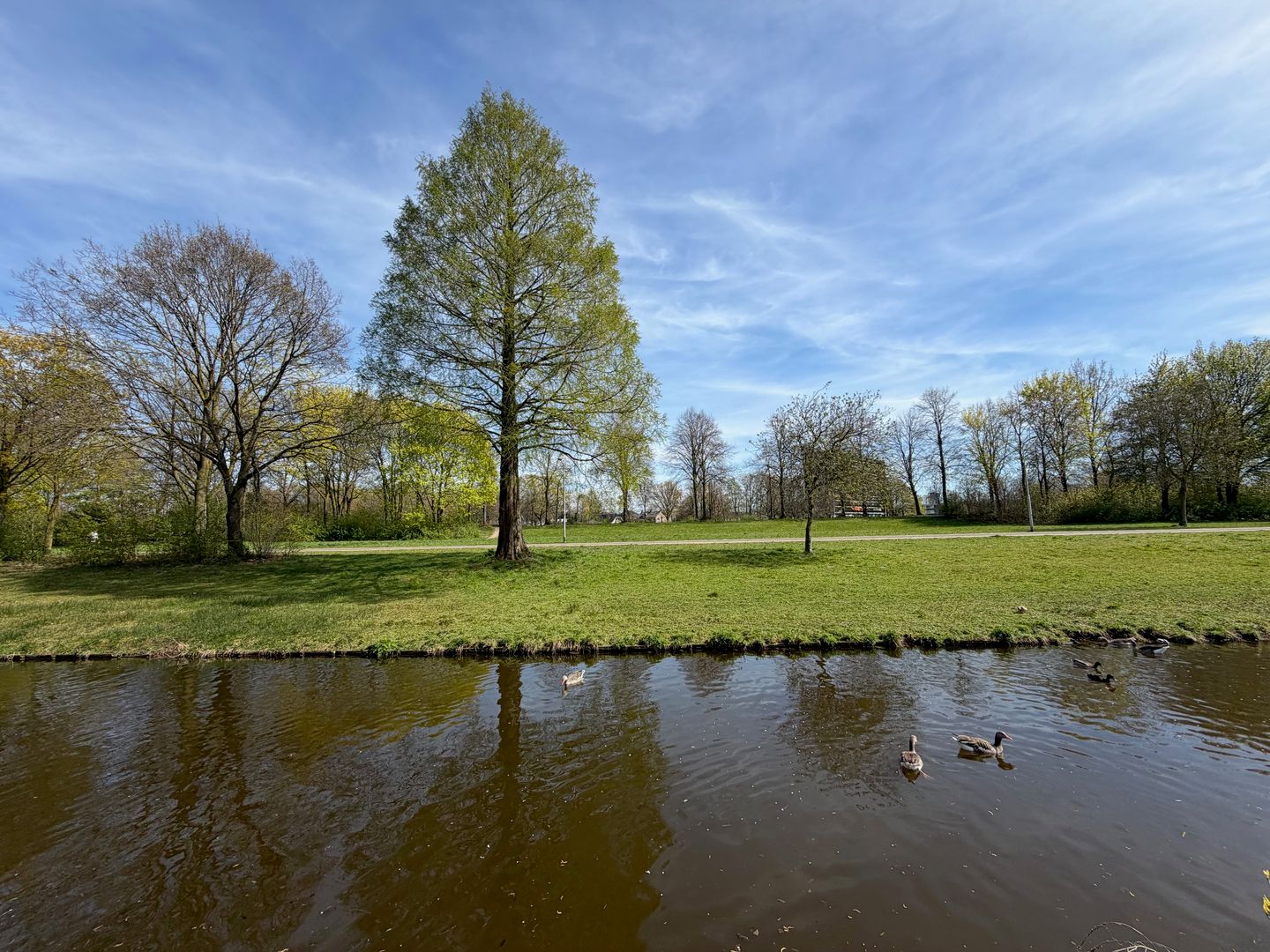 Foto 35 van de Wellenkamp 1514