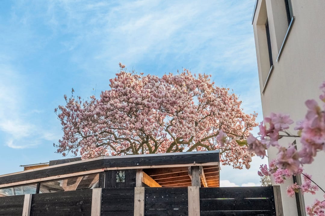 Photo 52 of Bergse Rechter Rottekade 20