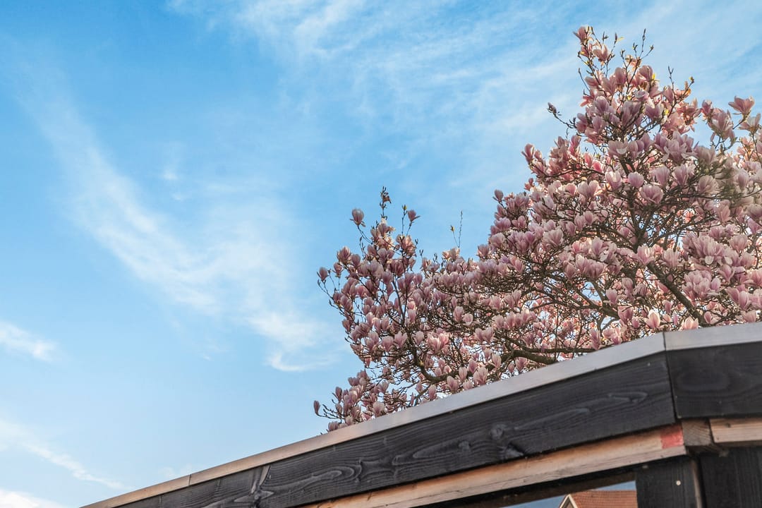 Photo 53 of Bergse Rechter Rottekade 20