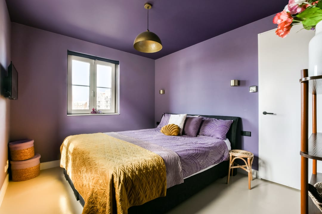 Photo 22 of Zandenburg 46