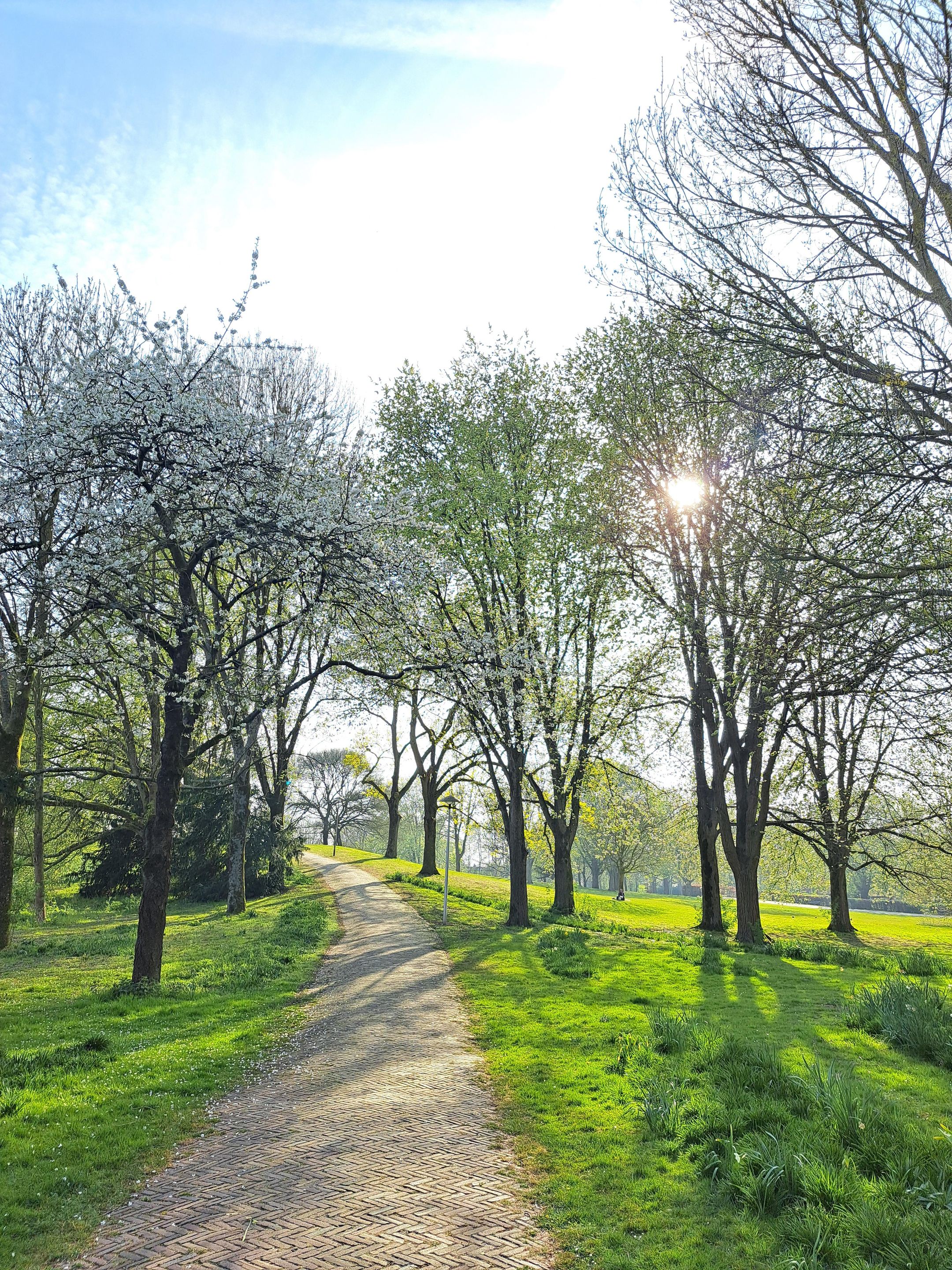 Foto 39 van Oranjerivierdreef 49