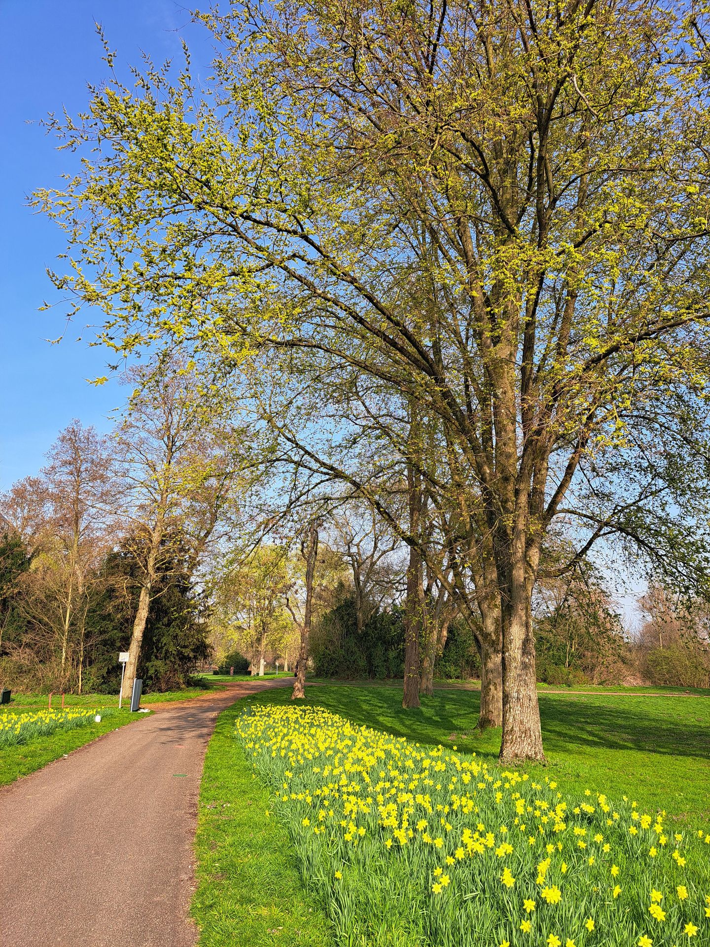 Foto 40 van Oranjerivierdreef 49