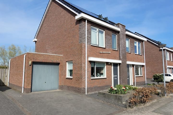 Krokus 24 main image