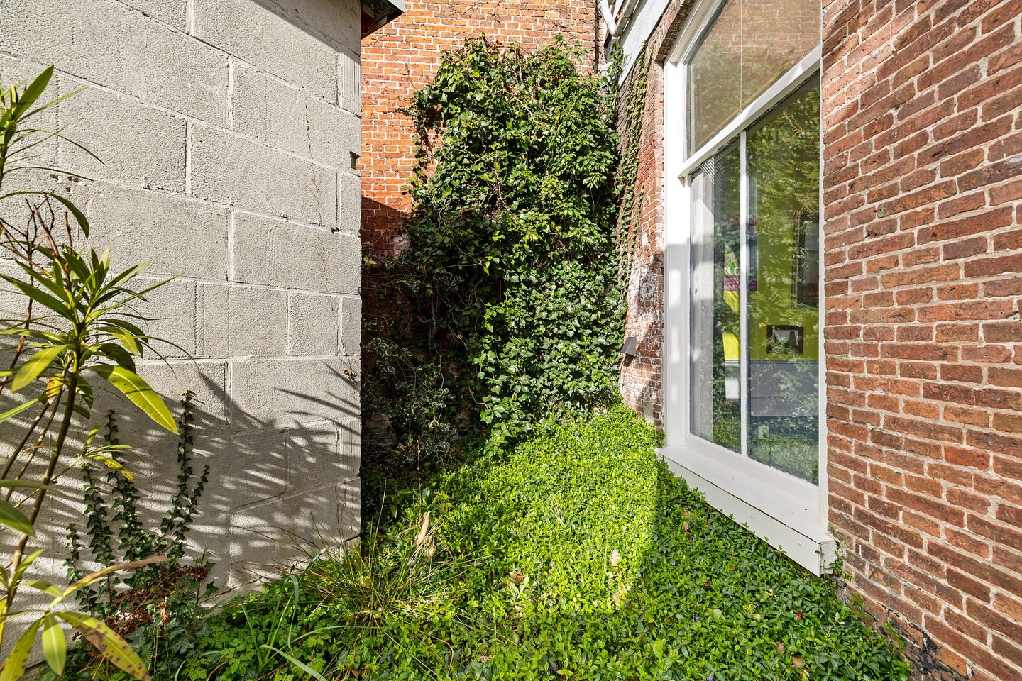 Foto 35 van Zuidvliet 4