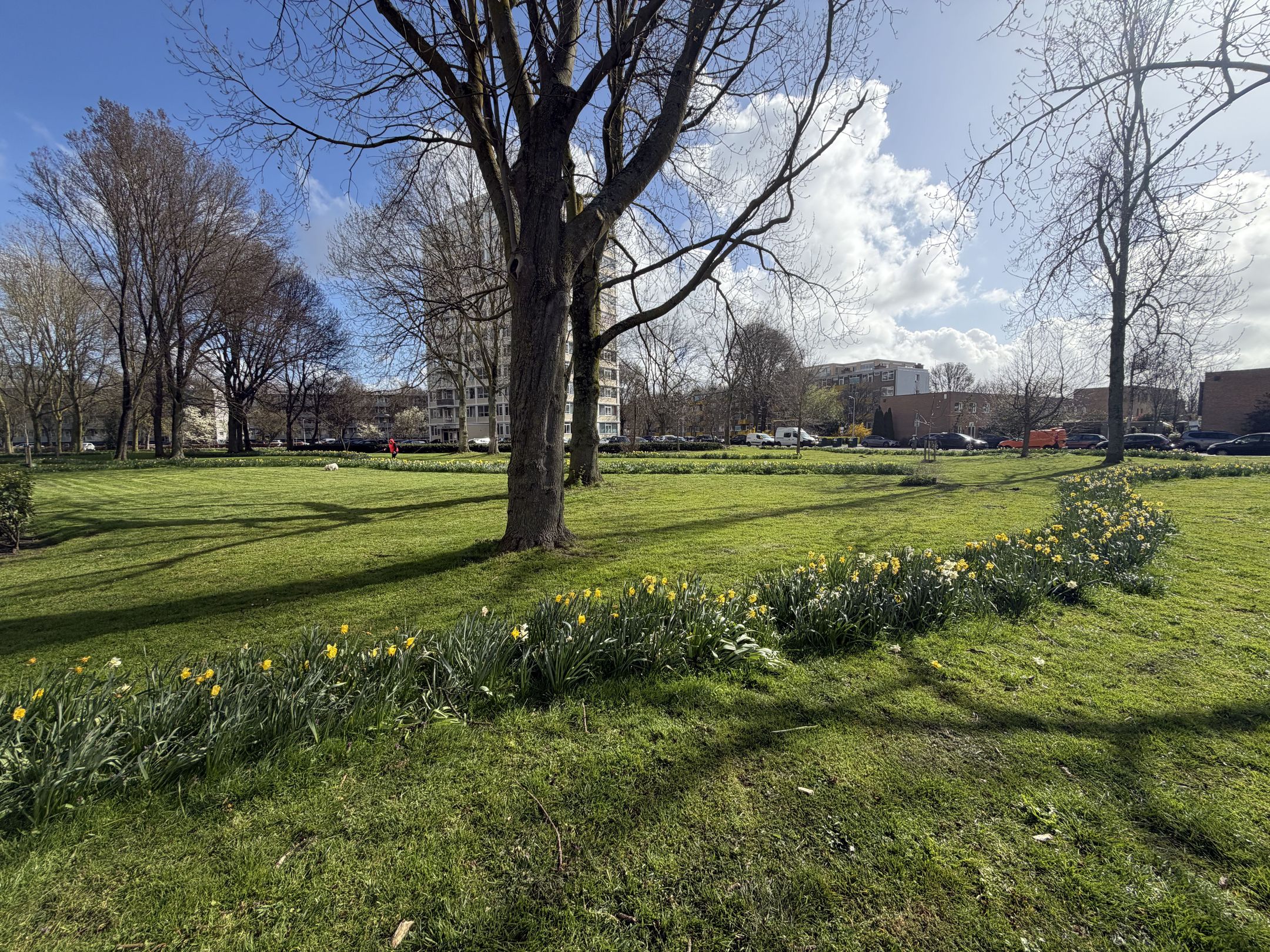 Foto 51 van Gerstkamp 117