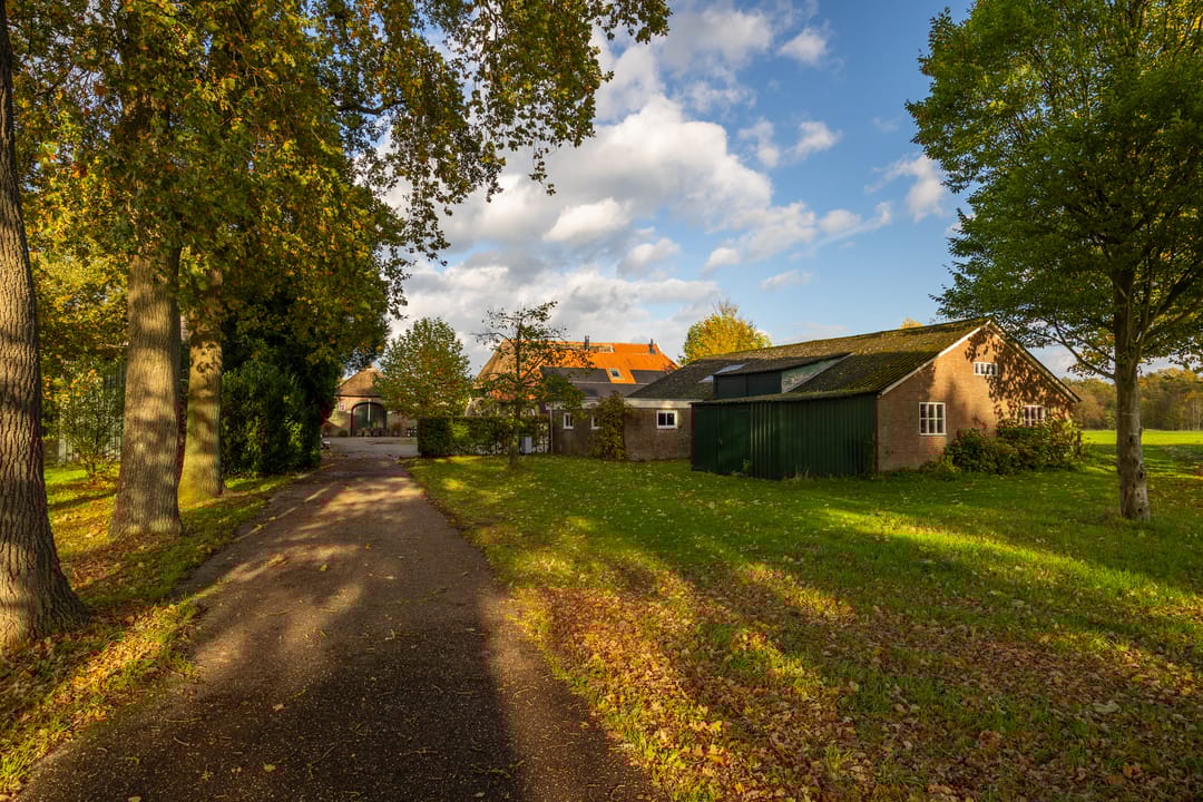 Photo 61 of Enteldijk 1