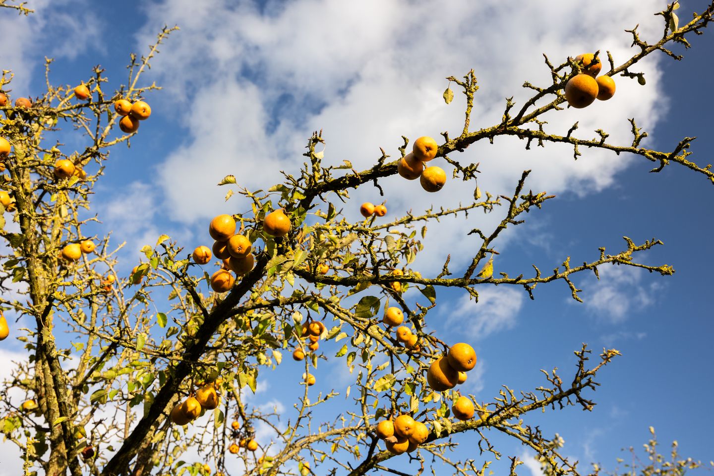 Photo 74 of Enteldijk 1