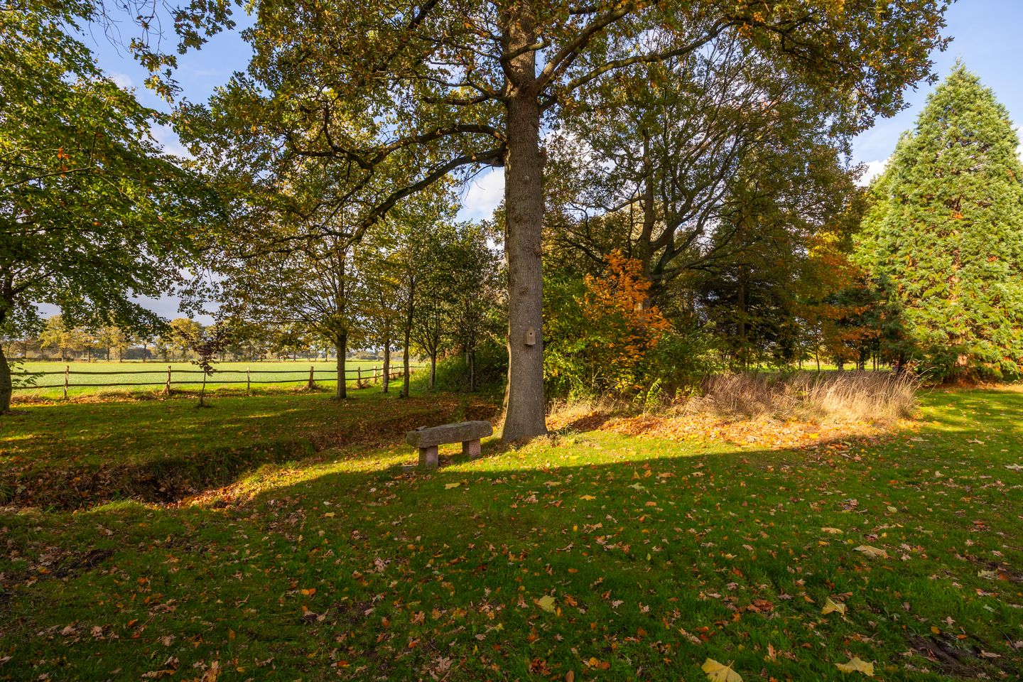 Photo 85 of Enteldijk 1