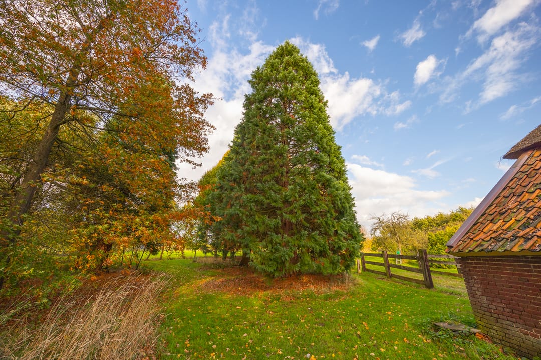 Photo 86 of Enteldijk 1