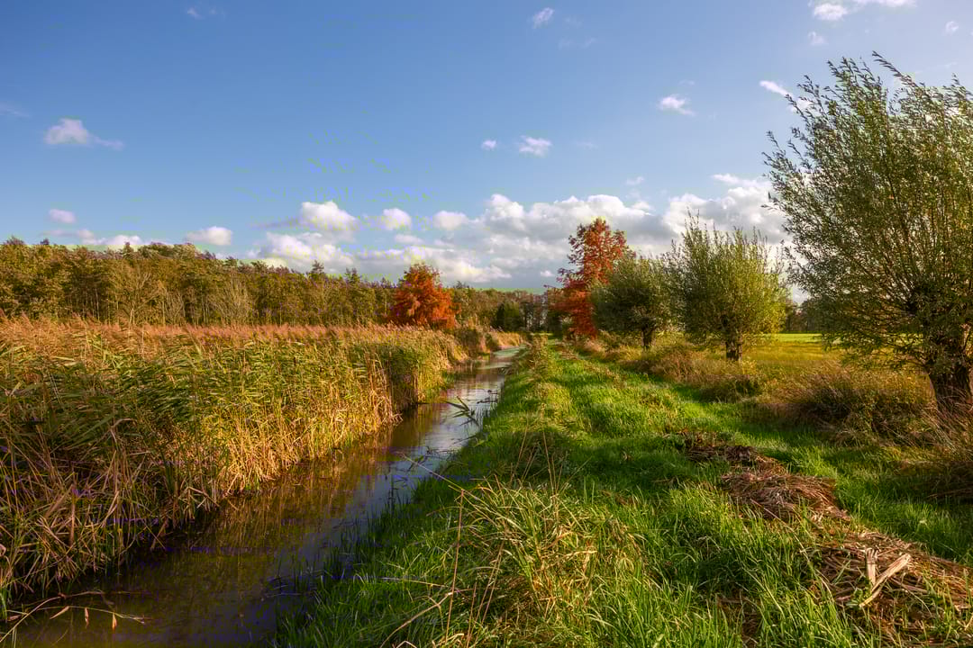 Photo 83 of Enteldijk 1