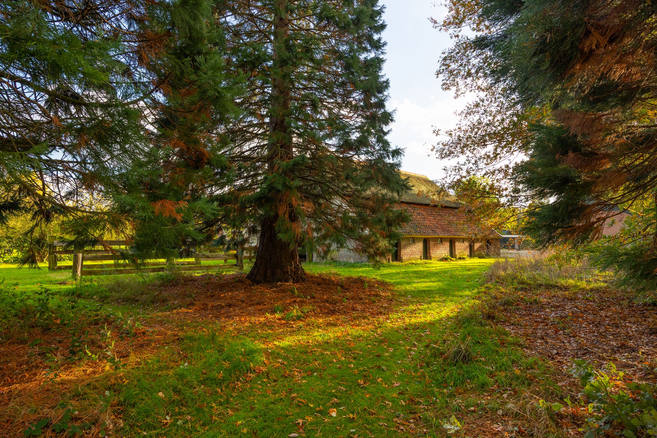 Photo 87 of Enteldijk 1