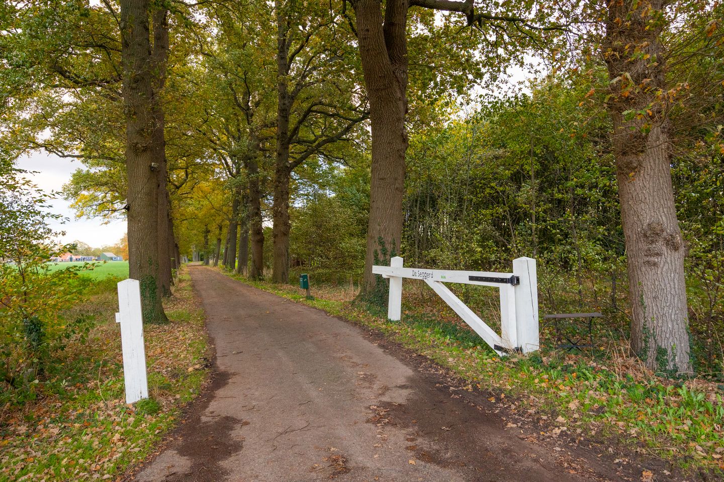 Photo 89 of Enteldijk 1