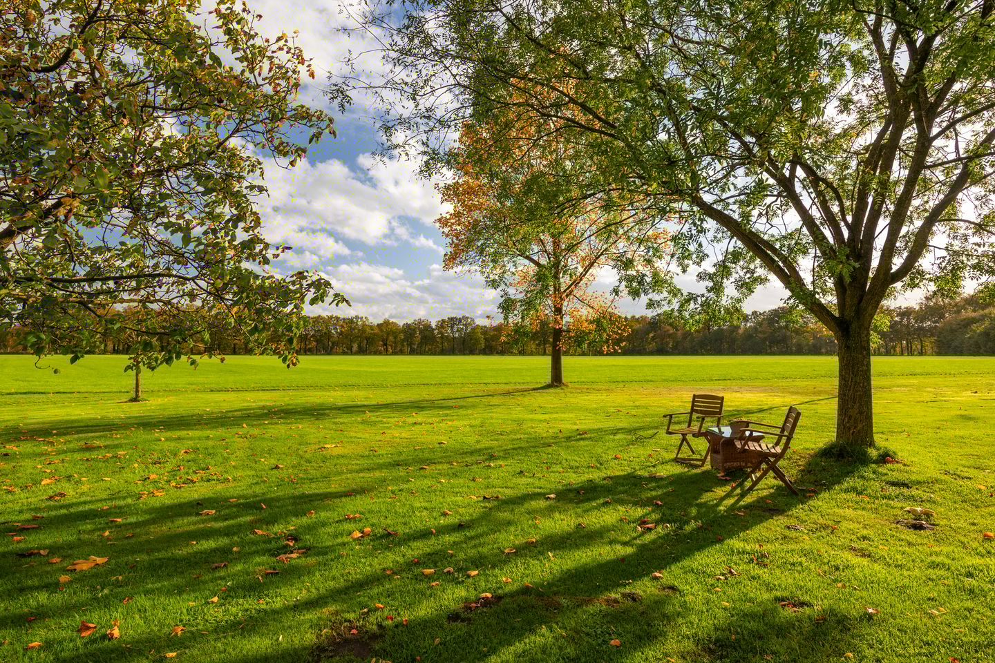 Photo 79 of Enteldijk 1