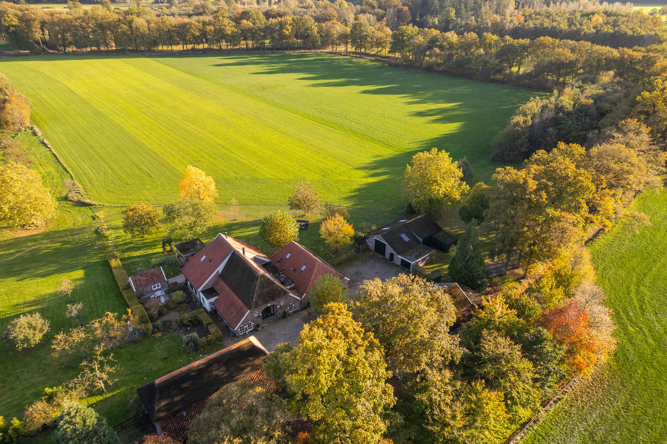 Photo 90 of Enteldijk 1