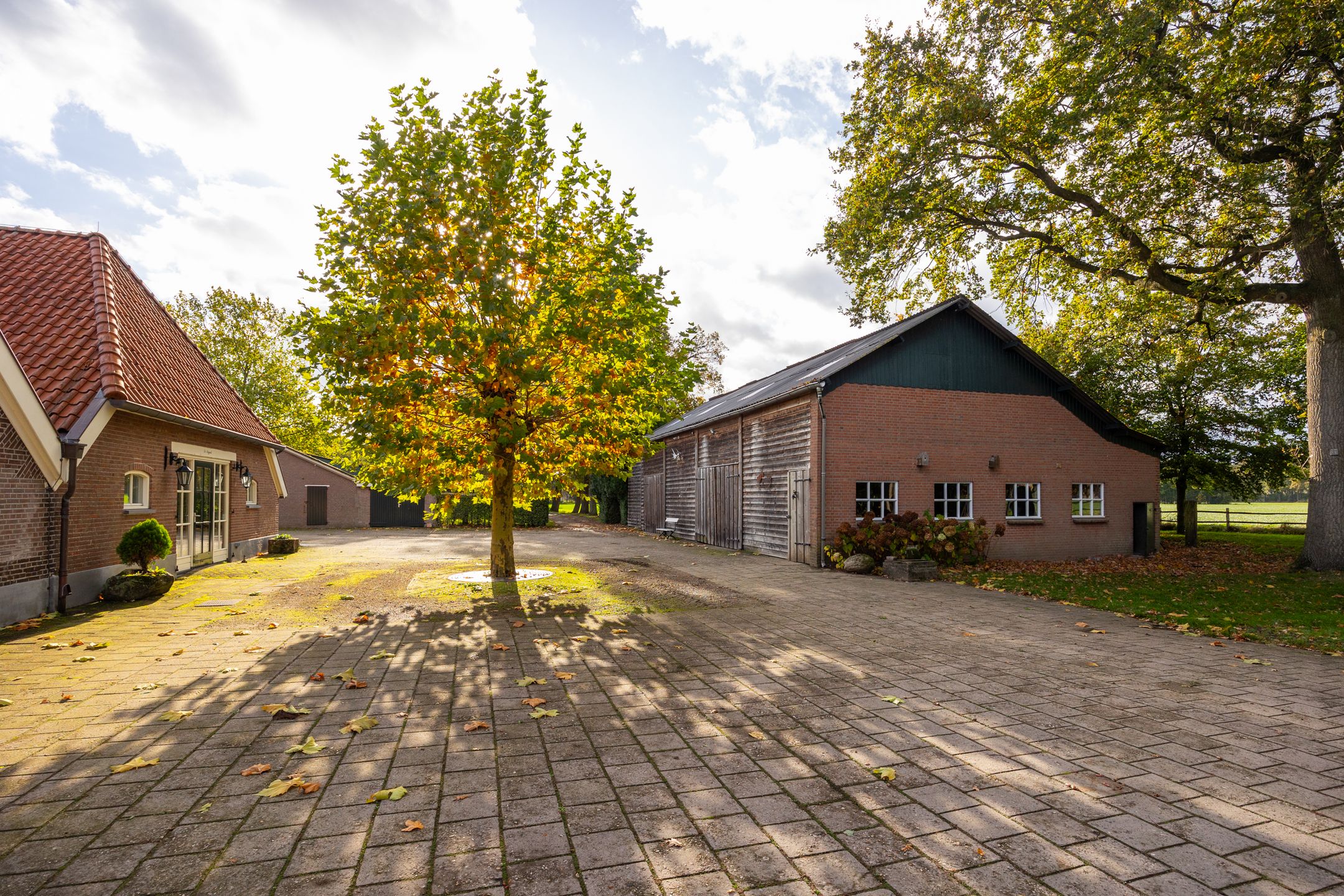 Photo 66 of Enteldijk 1