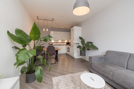 Coremolen 5-M39 tertiary image