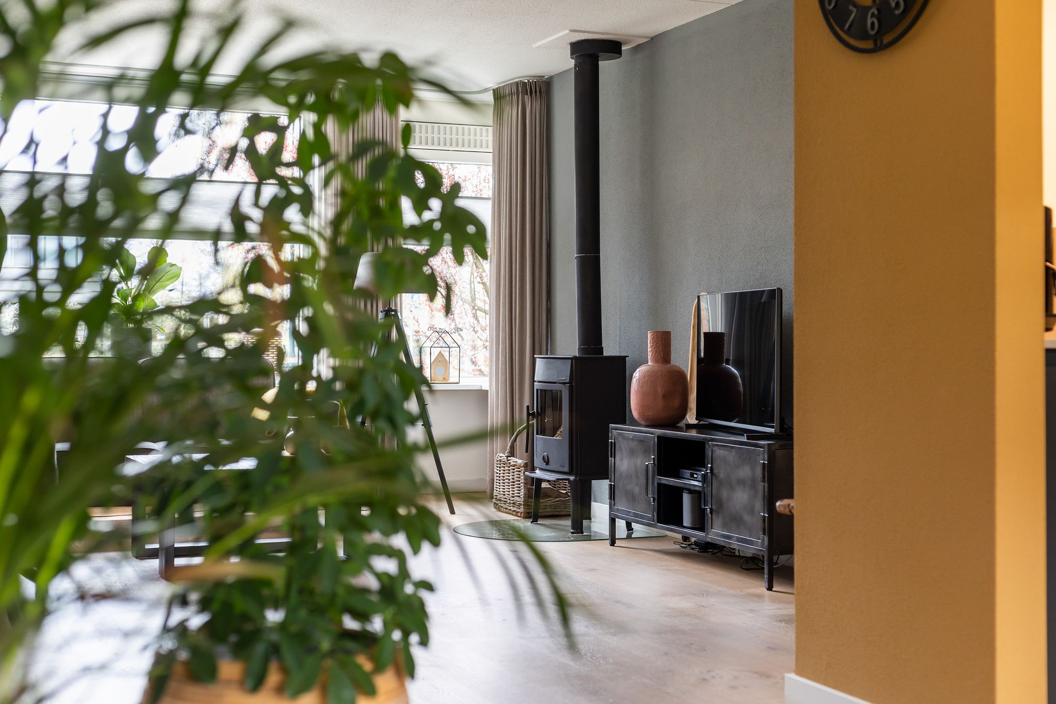 Photo 6 of Ommeland 40