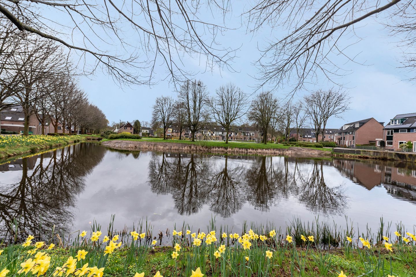 Foto 10 van Het Fortuyn 49