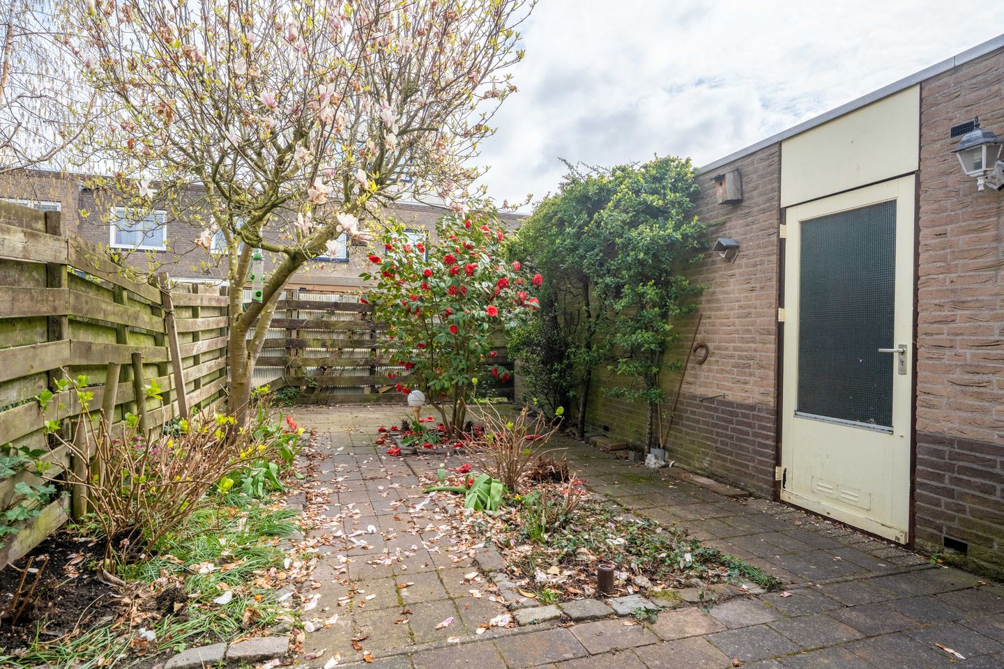 Photo 19 of Bottalijn 7