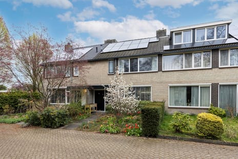 undefined main image