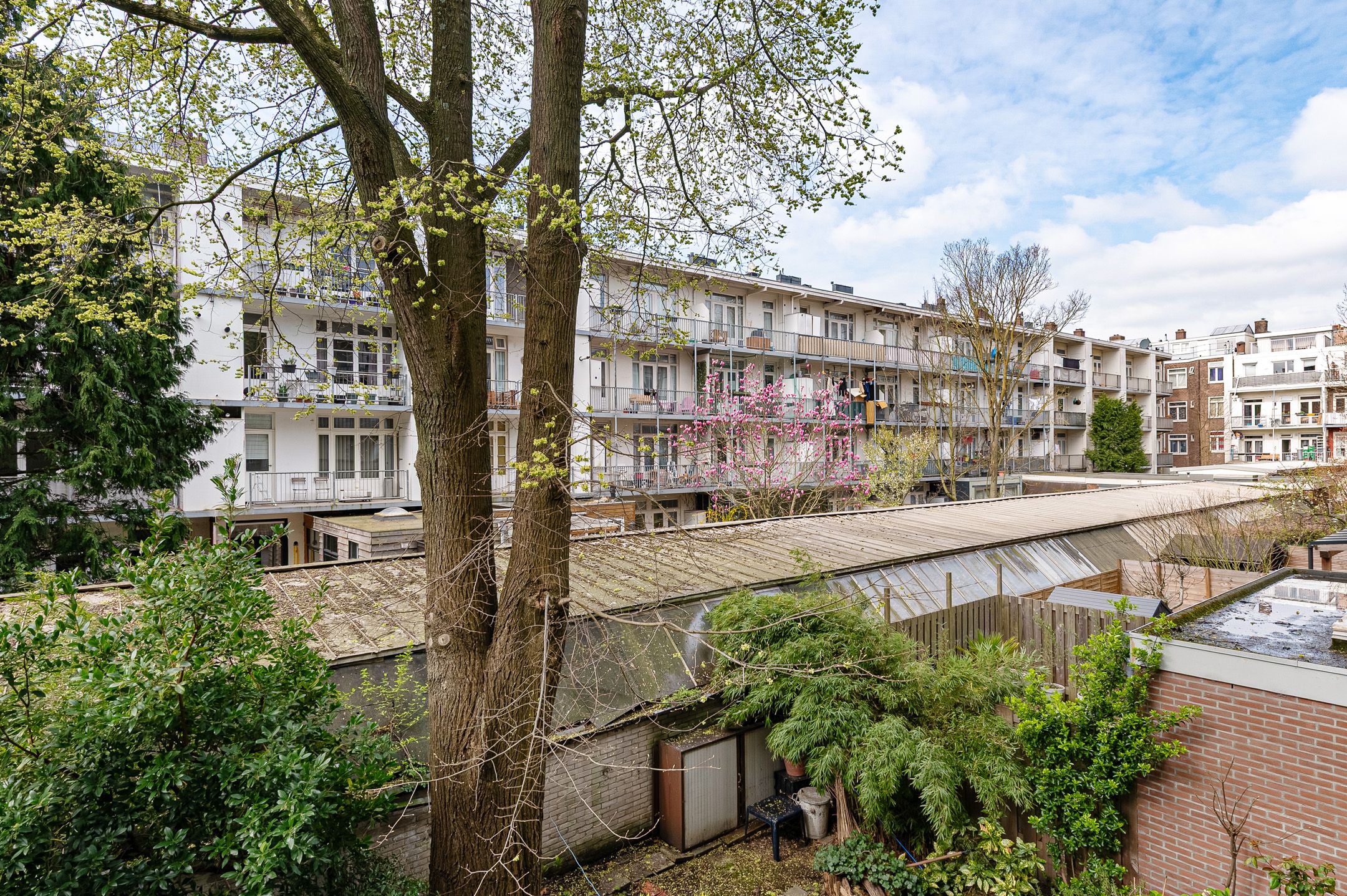 Foto 24 van Mercatorstraat 99-1