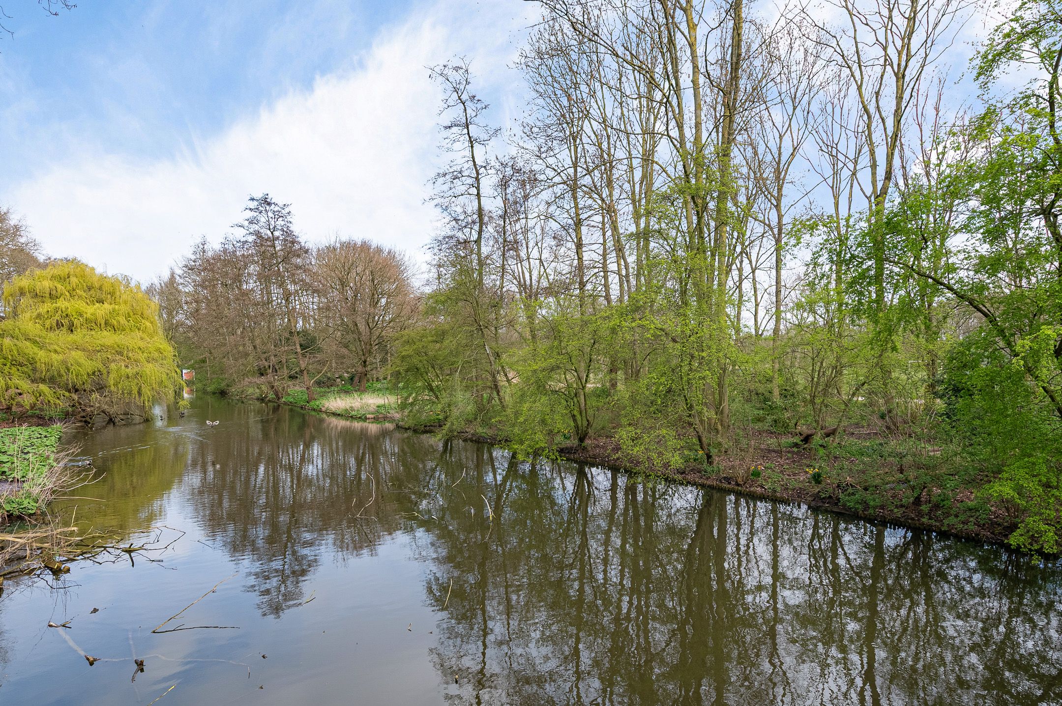 Foto 27 van Mercatorstraat 99-1