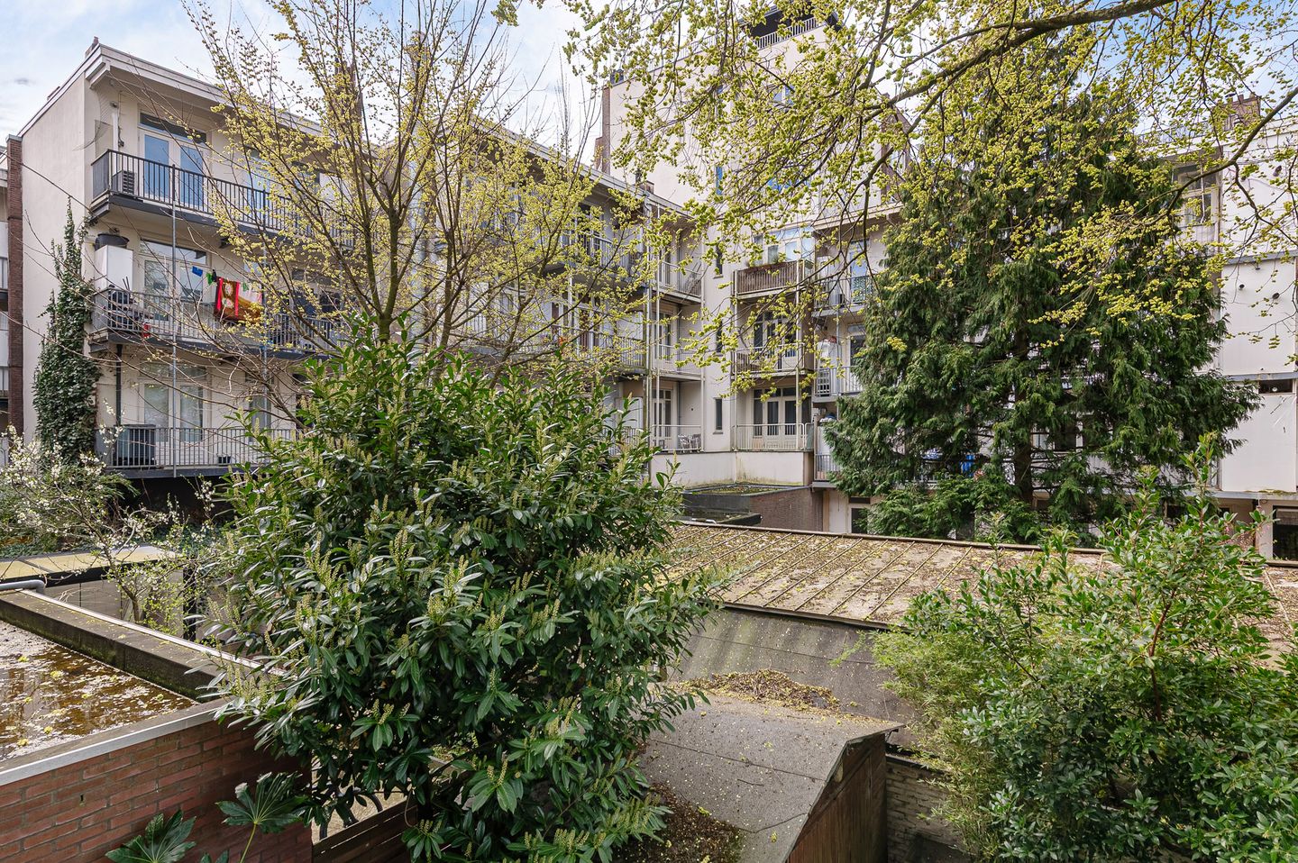 Foto 25 van Mercatorstraat 99-1