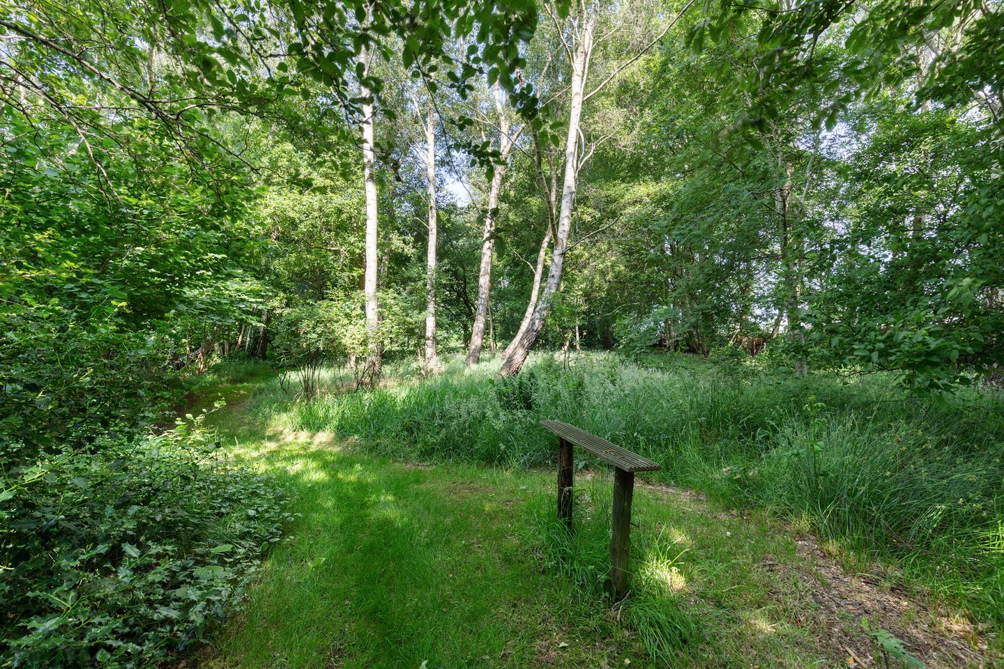 Foto 40 van Klijnsmavaart 8