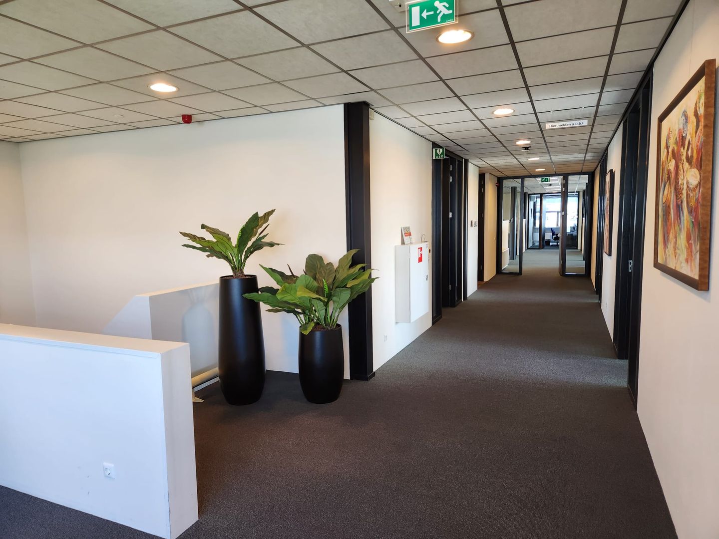 Bekijk foto 3 van Brinkhorst 15-a