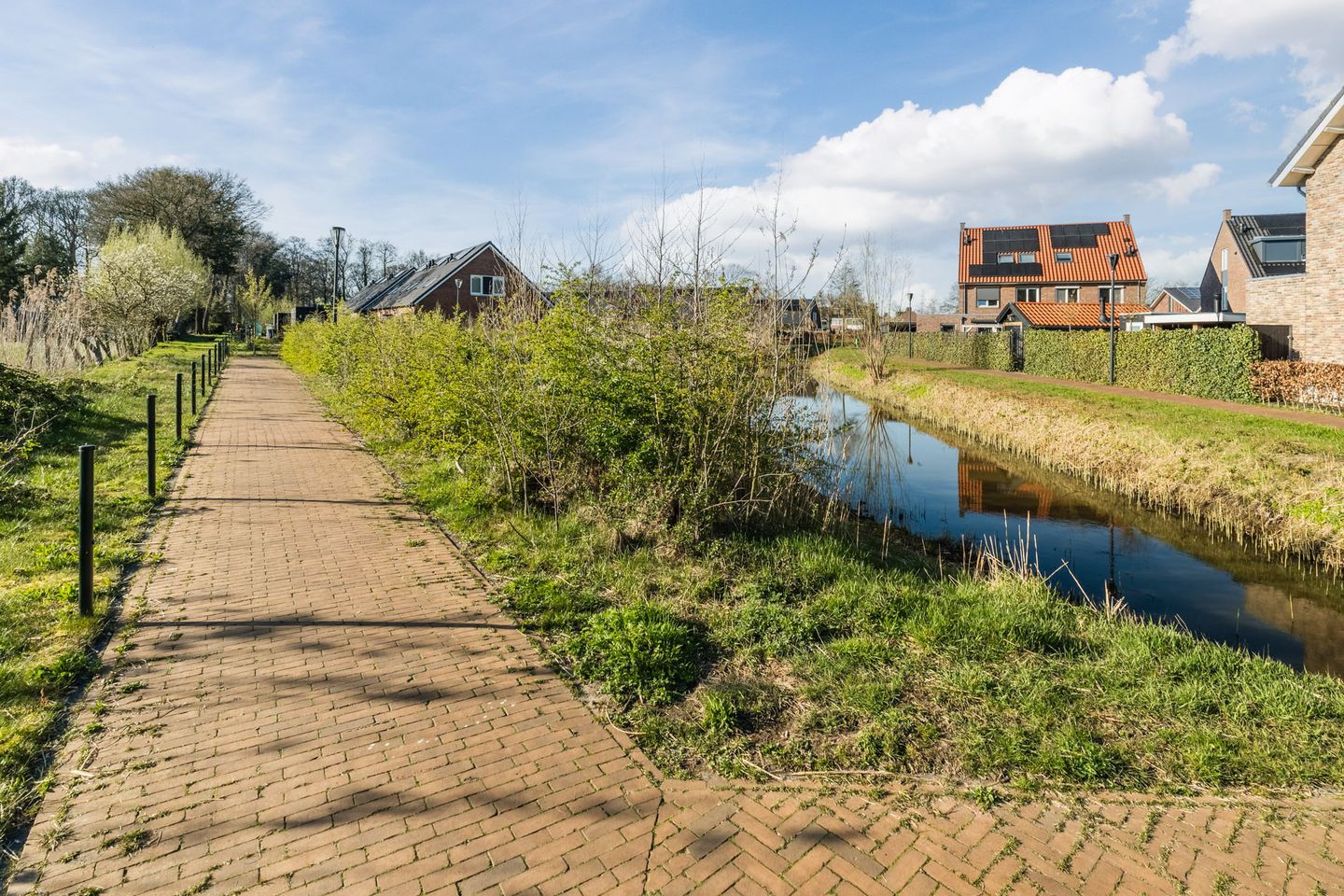 Photo 49 of Oogstpad 4