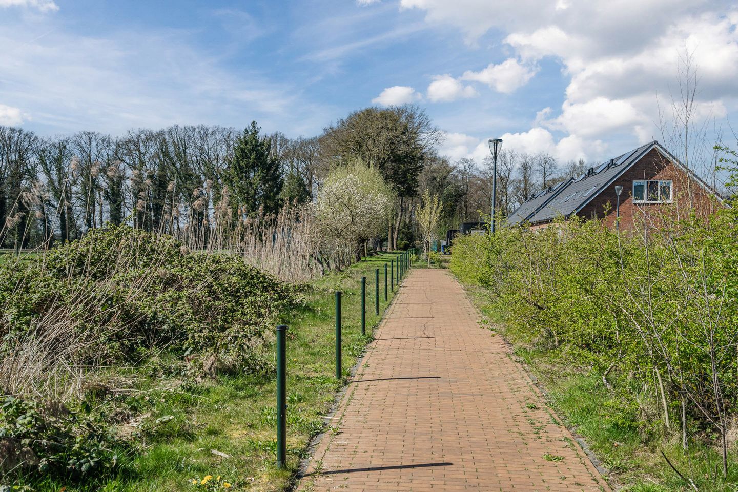 Photo 50 of Oogstpad 4