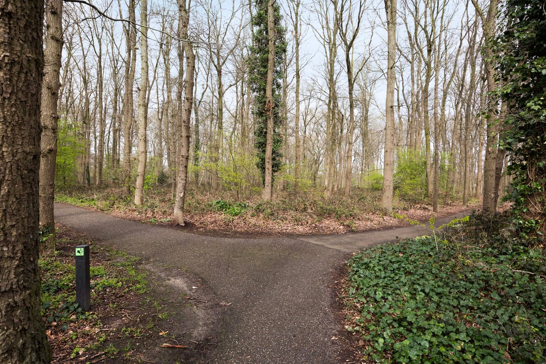 Photo 28 of Abersland 3320