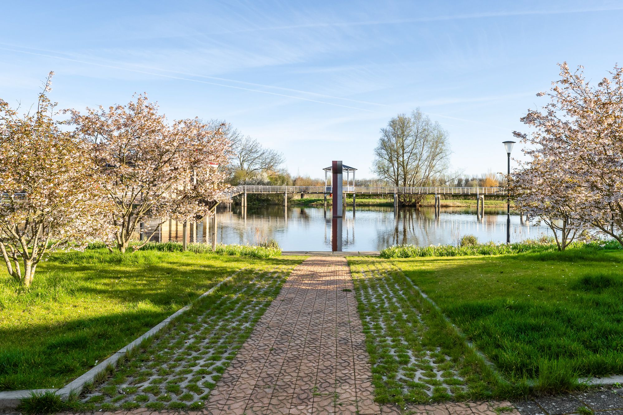 Foto 36 van Hans de Riesstraat 20