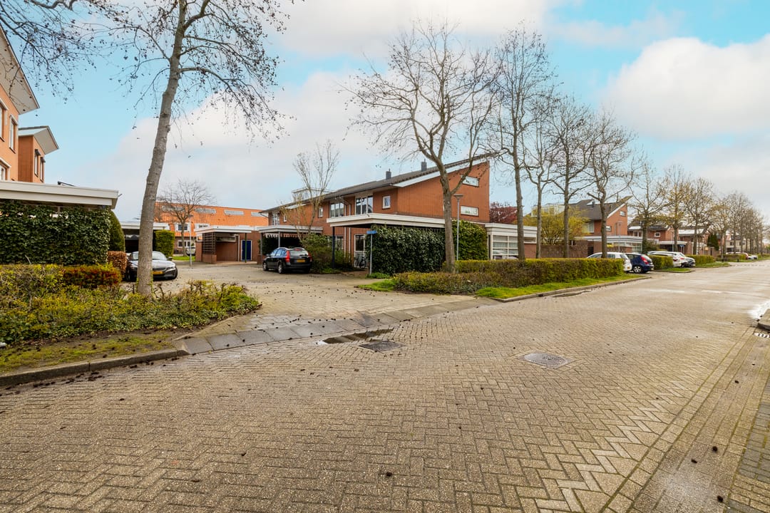 Foto 53 van Spinaziestraat 6