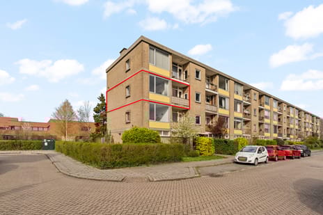 undefined main image