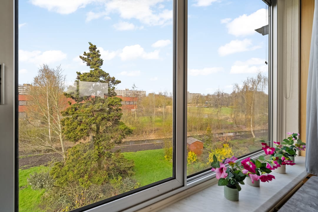 Foto 13 van Willem de Rijkelaan 64