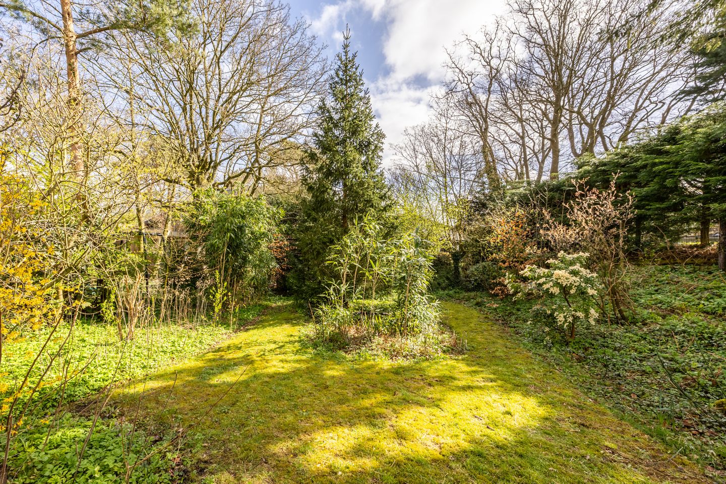 Foto 4 van Rijksstraatweg 82