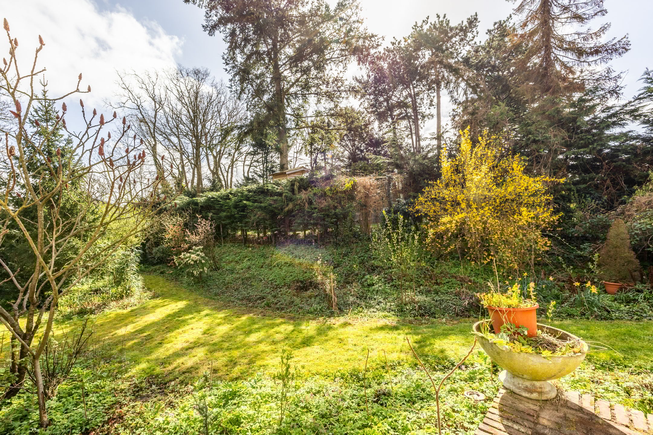 Foto 27 van Rijksstraatweg 82