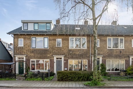 Theemsstraat thumbnail