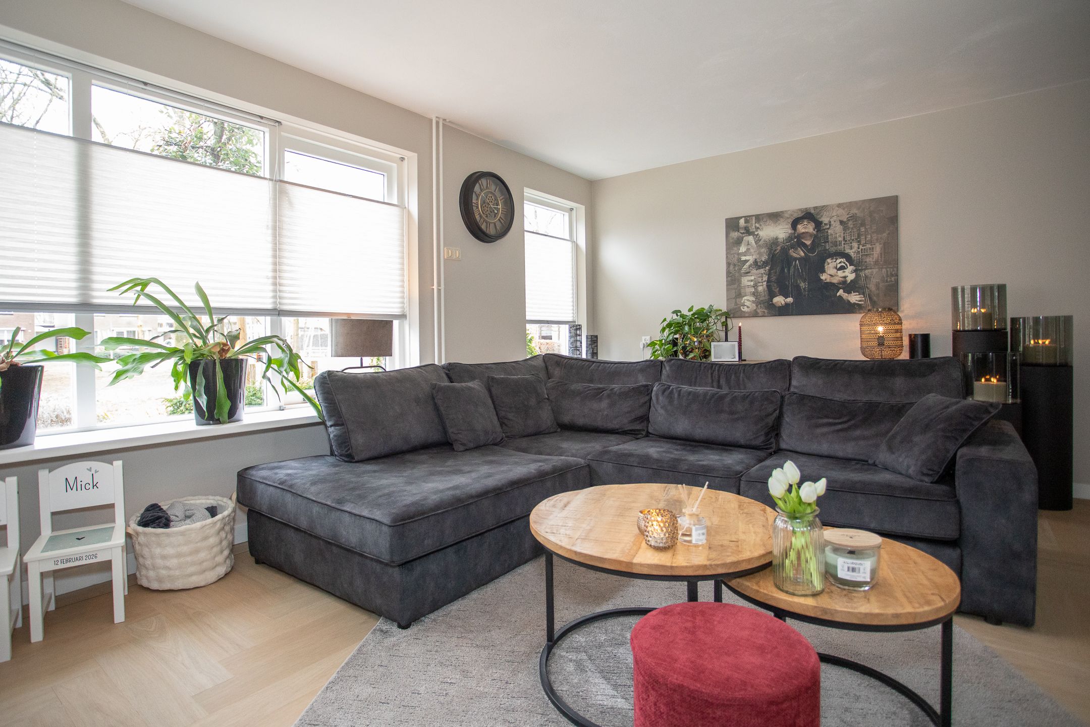 Foto 12 van De Ibis 12-A