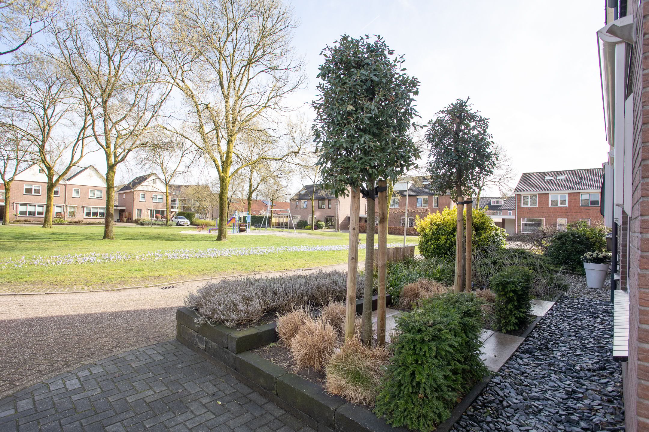 Foto 54 van De Ibis 12-A