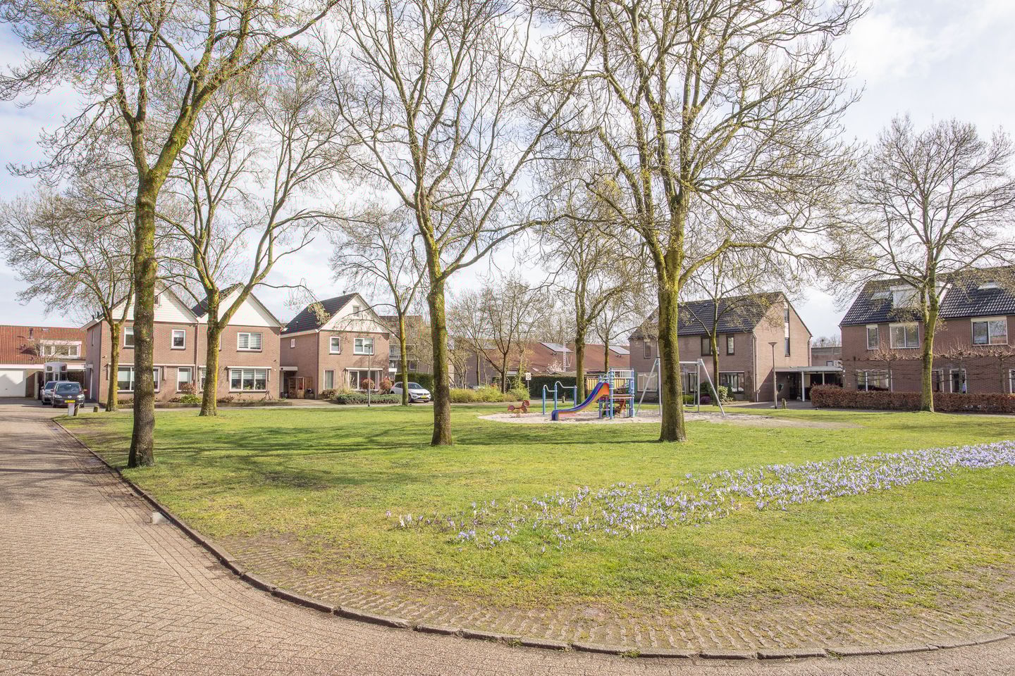 Foto 55 van De Ibis 12-A