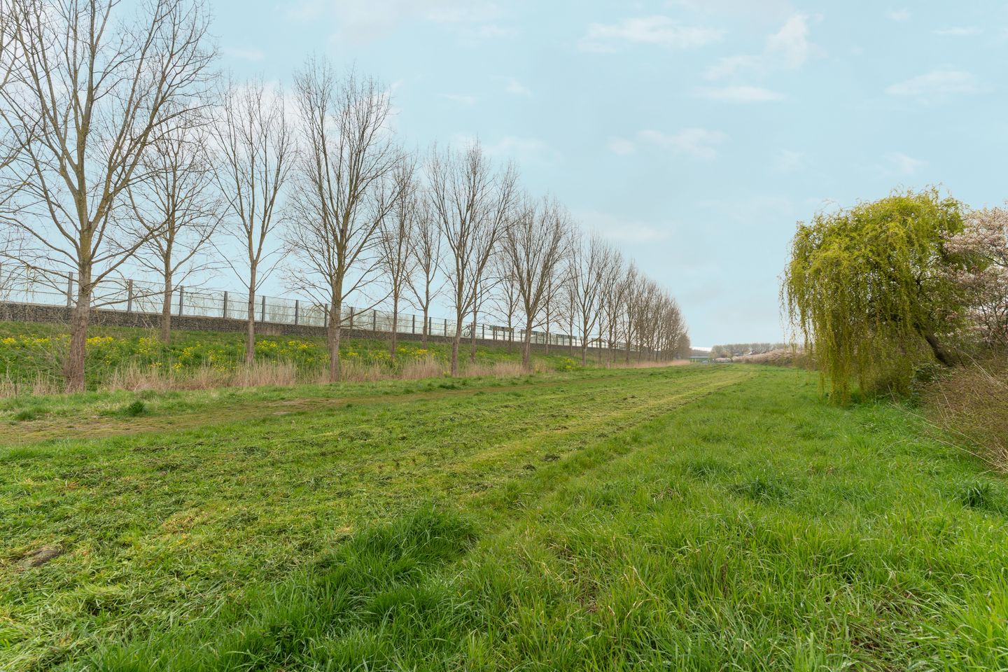 Photo 59 of Jan Hanlostraat 18