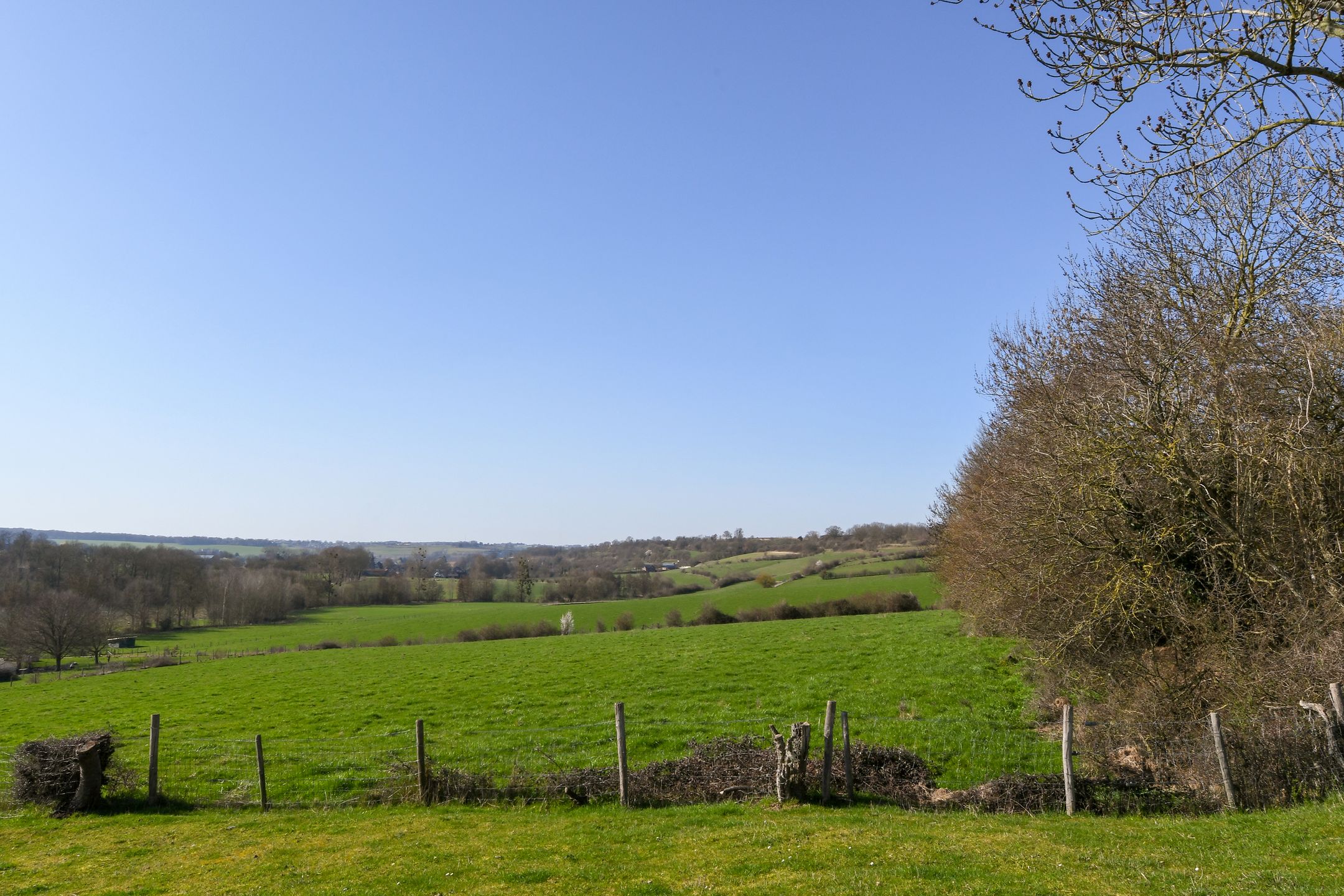 Photo 15 of Kersenweide 18