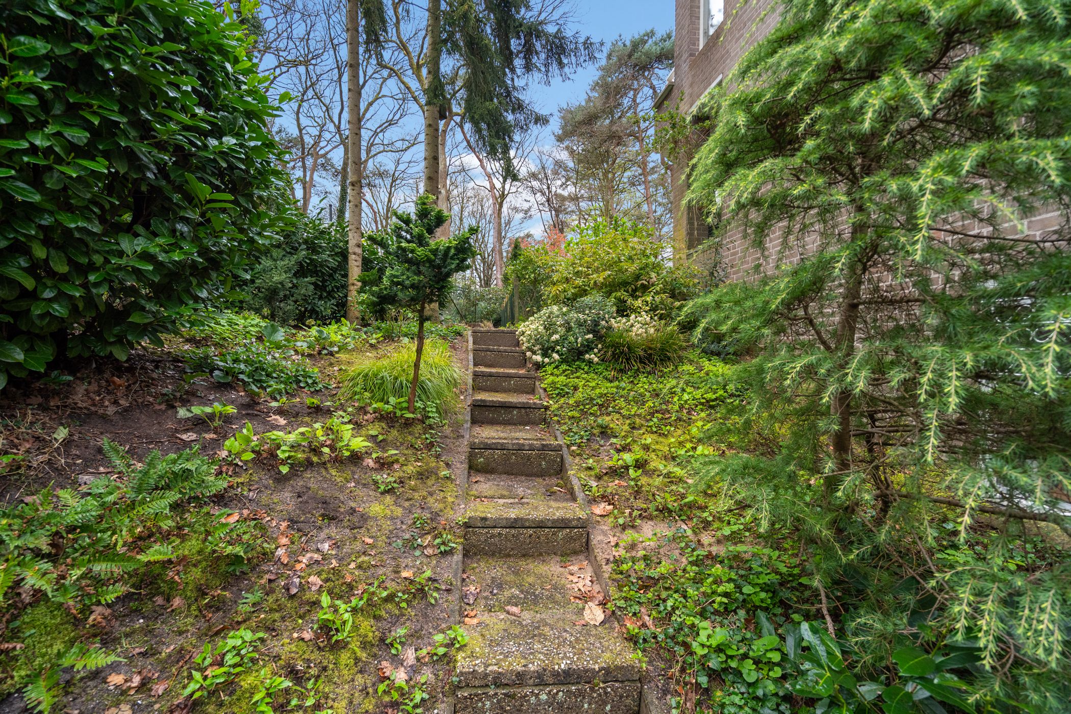 Photo 63 of Stichtse Rotonde 5-C