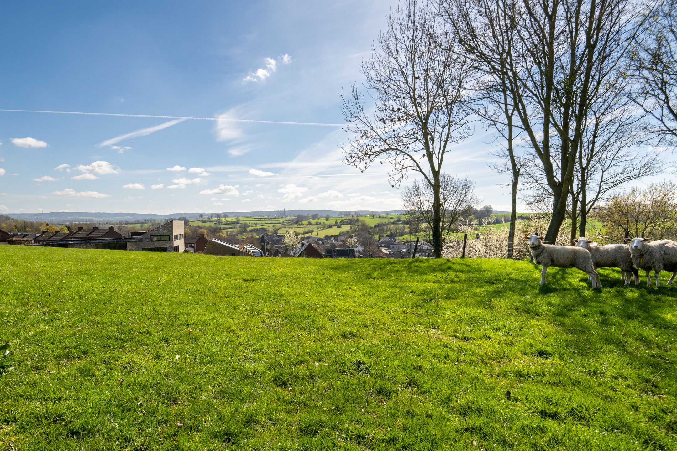 Luxury Villa with Panoramic Views in the Limburg Hills — 15