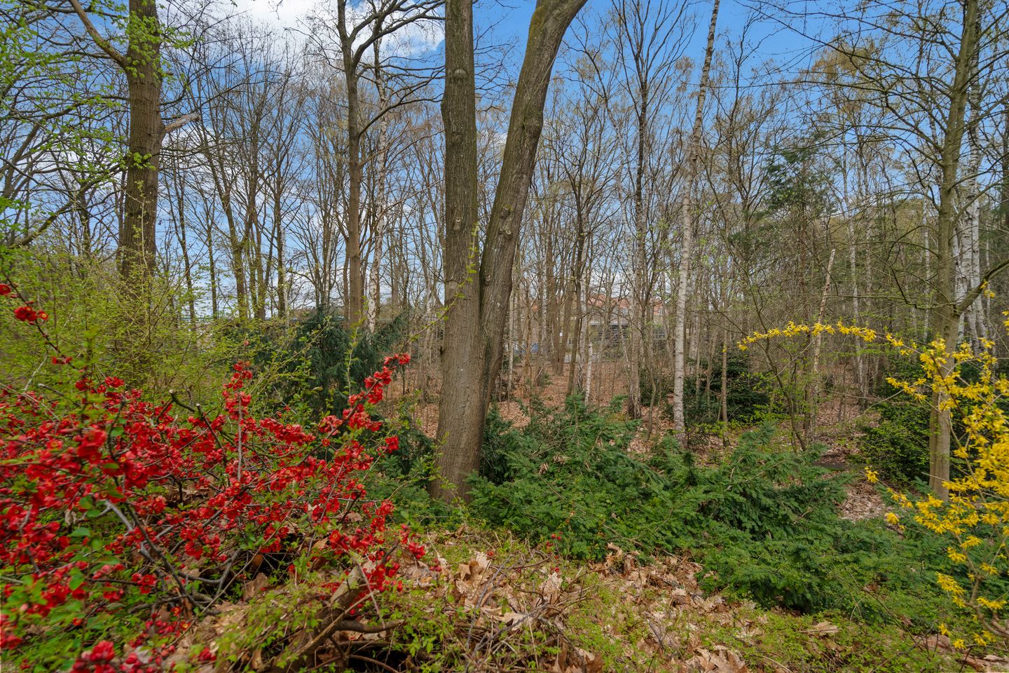 Photo 70 of Stichtse Rotonde 5-C