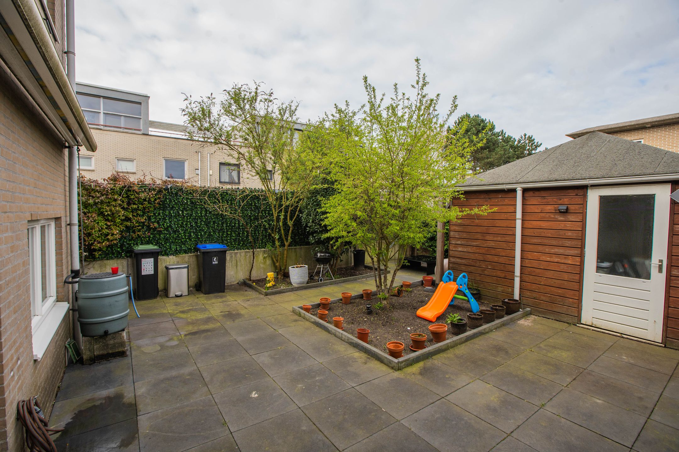 Photo 18 of Monte Adi 18